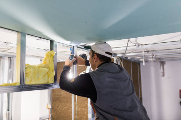 Best Geographic-Specific Insulation Services in Benton Harbor, MI