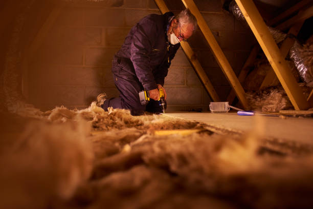 Best Eco-Friendly Insulation in Benton Harbor, MI